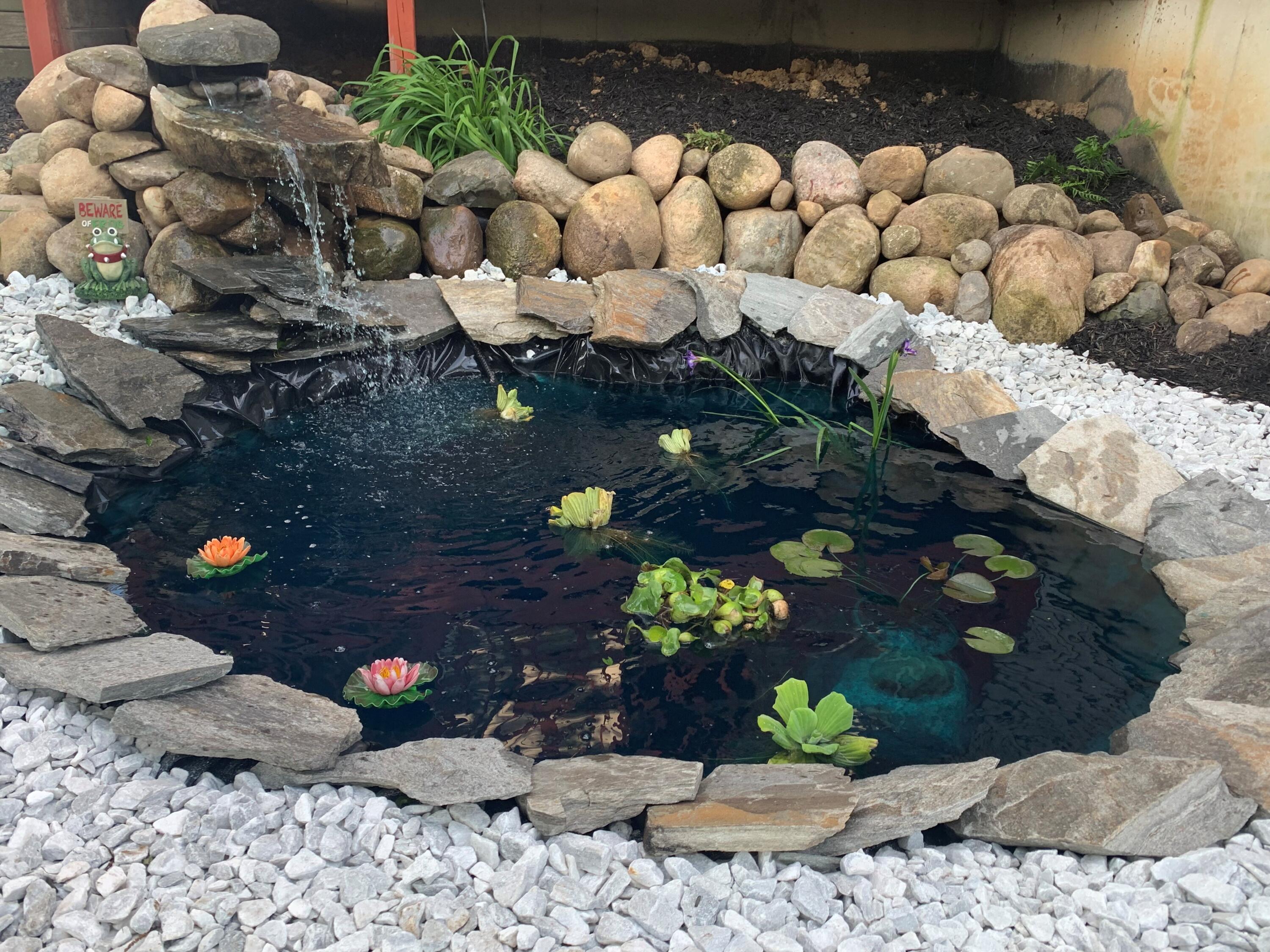 10881 Hoffman Road Three Rivers, MI 49093 - Photo 40 of 48 Koi Pond