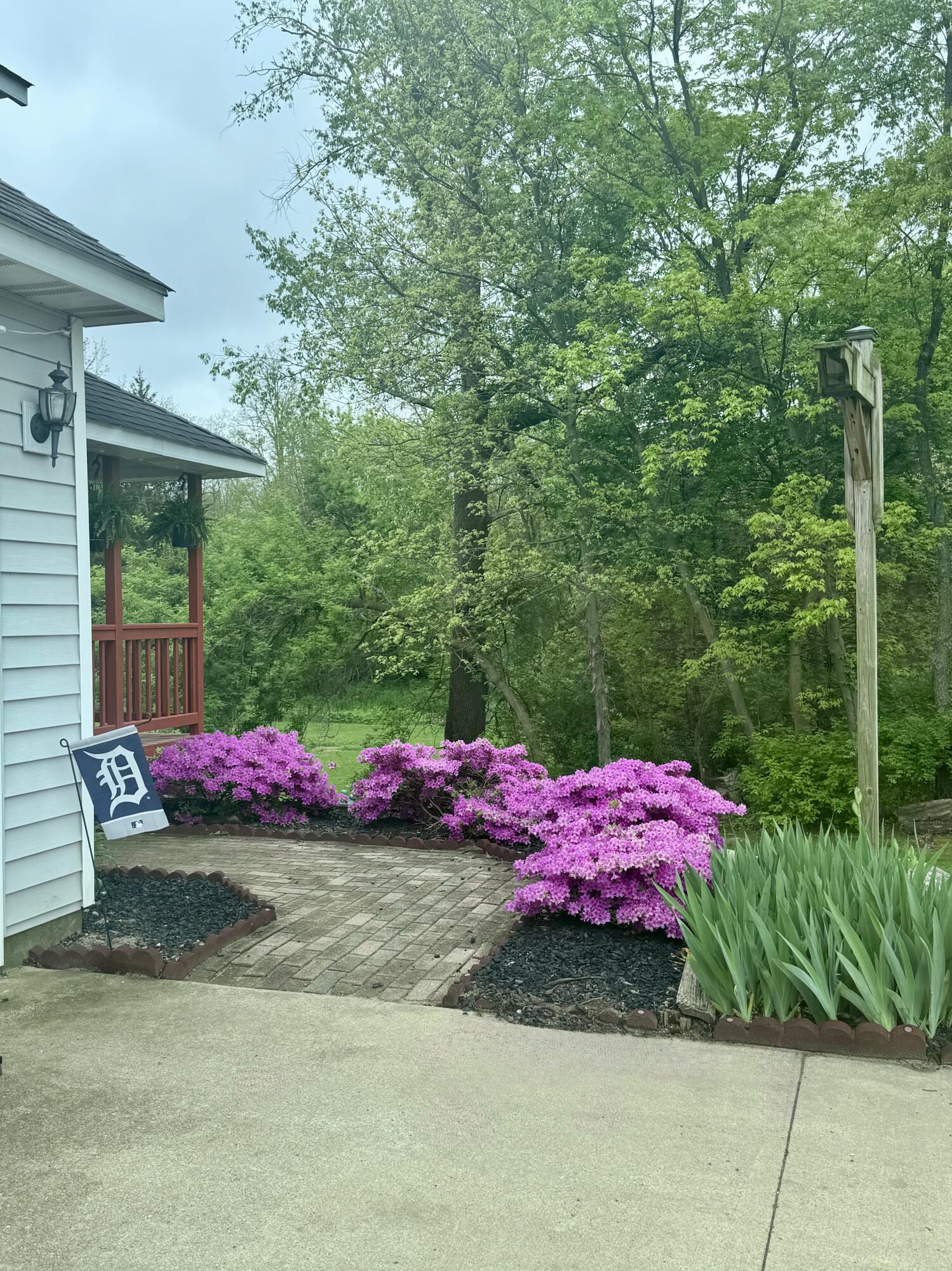 10881 Hoffman Road Three Rivers, MI 49093 - Photo 47 of 49 Full bloom azaleas