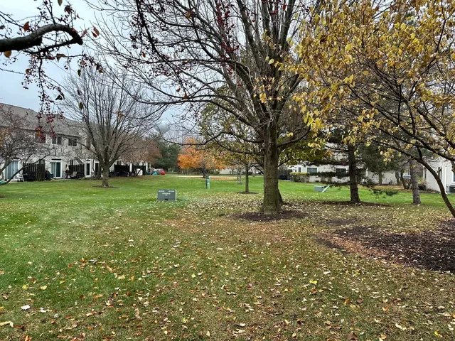 a view of a trees with a park