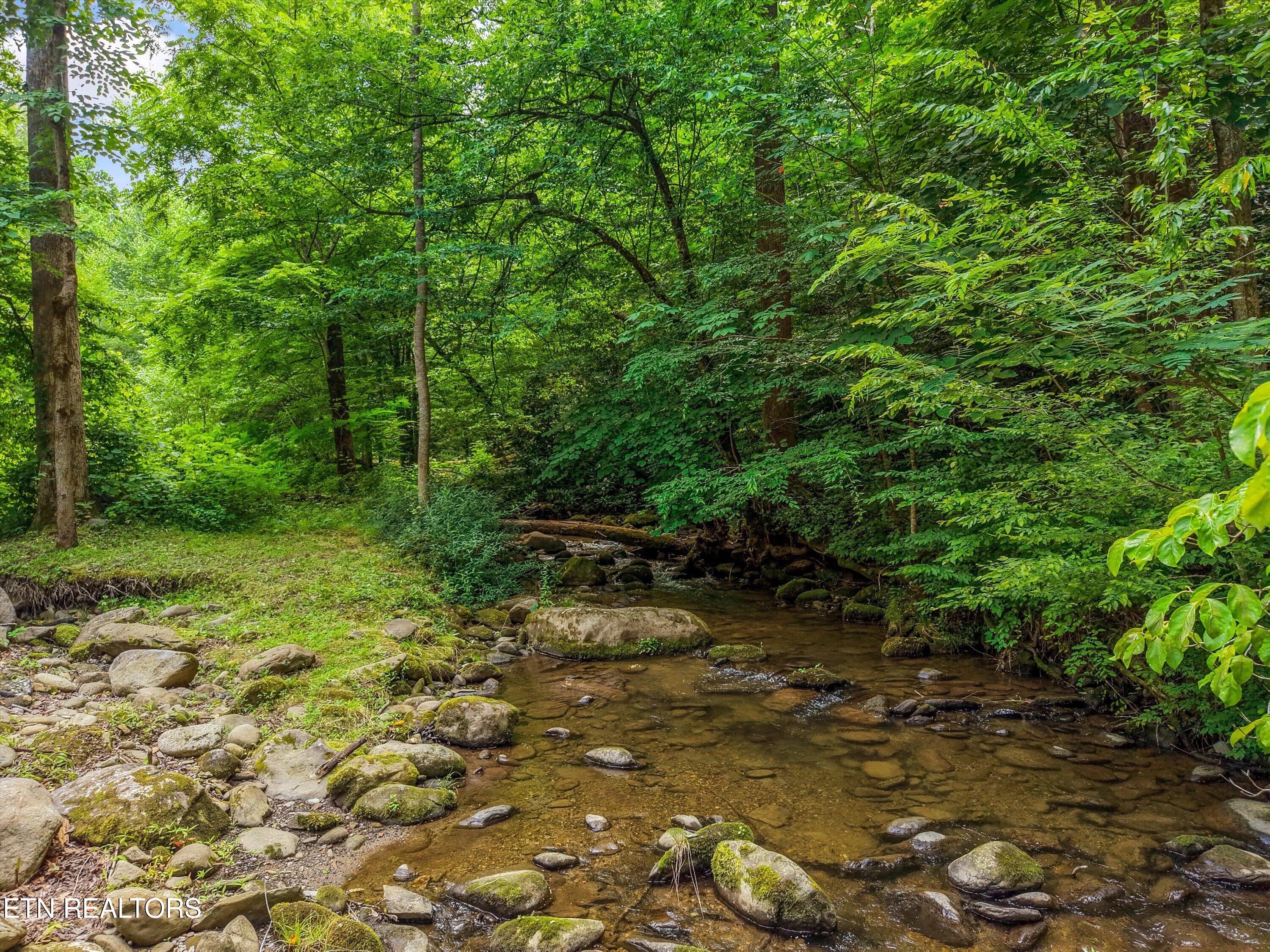 5236 Mathis Branch Road Gatlinburg, TN 37738 - Photo 45 of 51 Creek at Back of Property