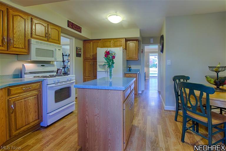 5210 East Farnhurst Road Cleveland, OH 44124 - Photo 13 of 25 Gallery Image 13