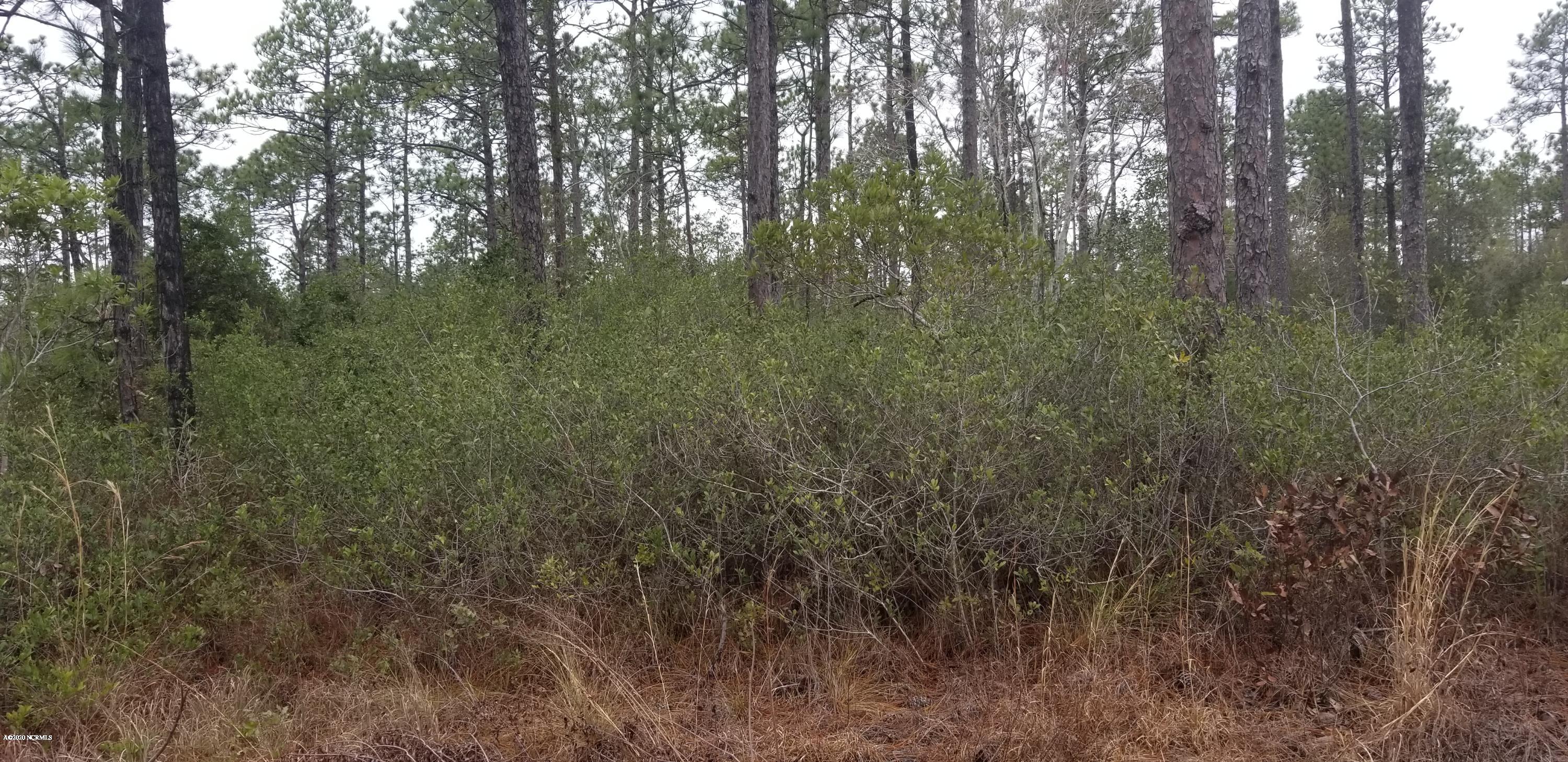 425 Wood Haven Road Boiling Spring Lakes, NC 28461 - Photo 1 of 3 WOODHAVEN RD ~ BSL