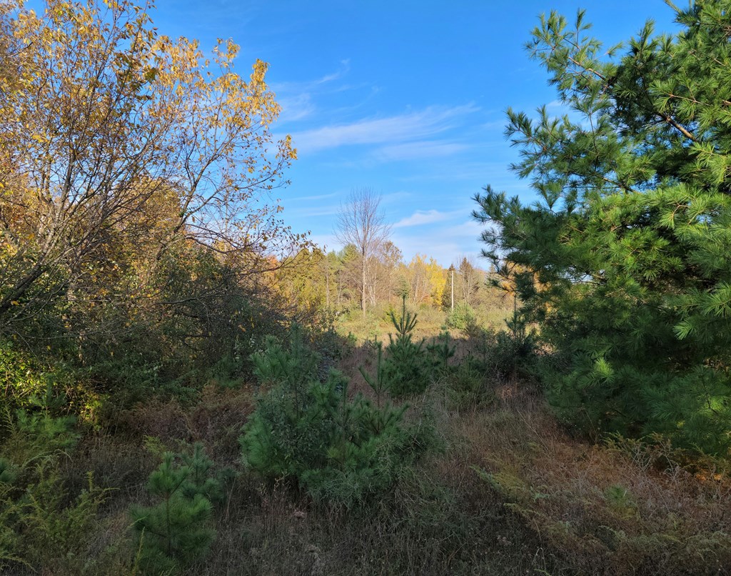 1 Gibraltar Road Fish Creek, WI 54212 - Photo 8 of 8
