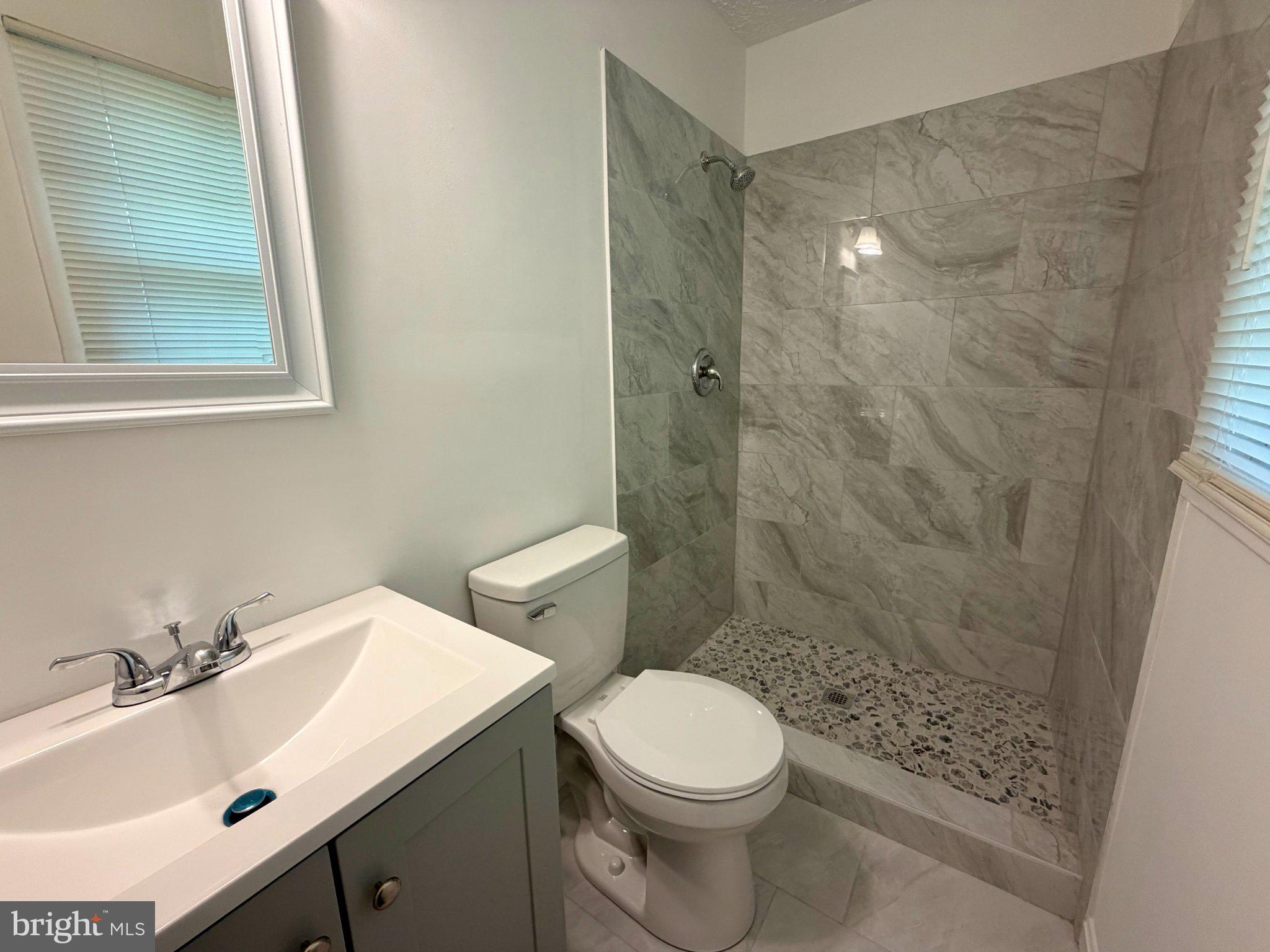 6109 Cracklingtown Road Hughesville, MD 20637 - Photo 21 of 25 a bathroom with a sink toilet and shower