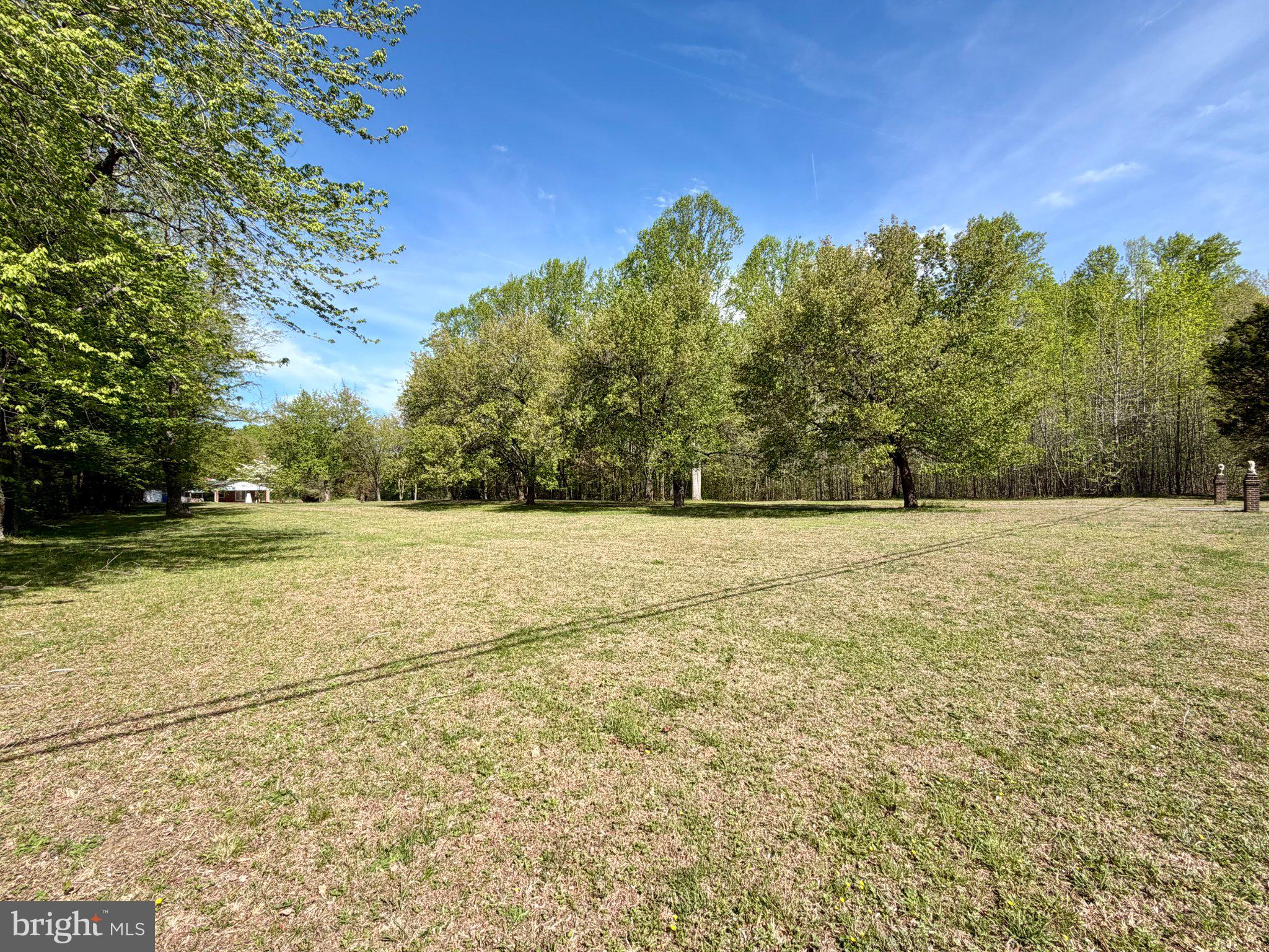 6109 Cracklingtown Road Hughesville, MD 20637 - Photo 6 of 25 a view of yard with large trees