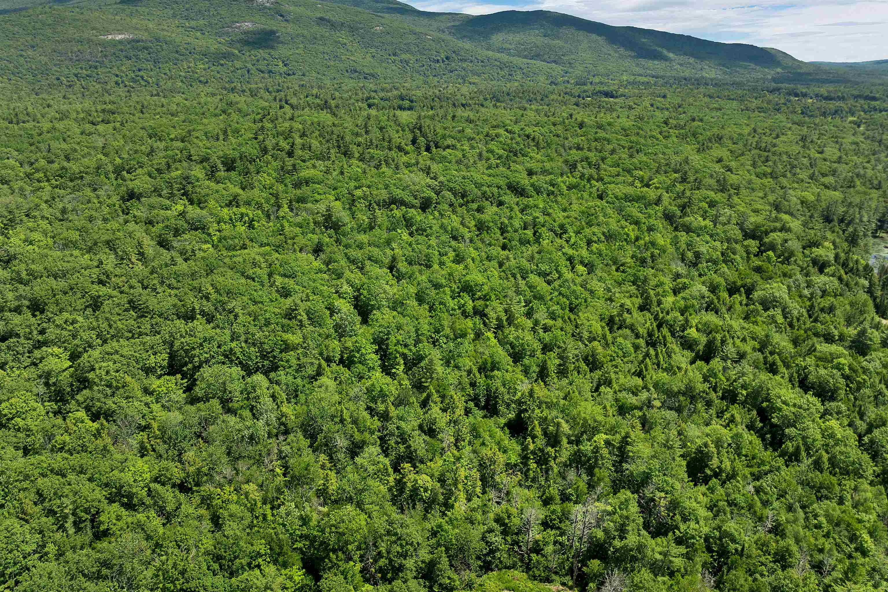 0 Beaver Pond Road Moultonborough, NH 03254 - Photo 12 of 46