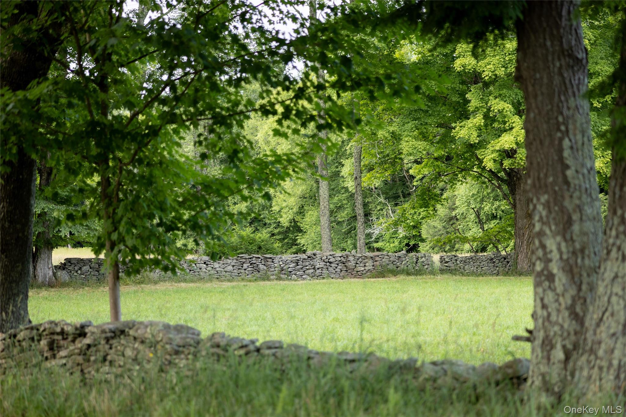 49 Crumley Van Vactor Road Ferndale, NY 12734 - Photo 47 of 50 View of grassy yard