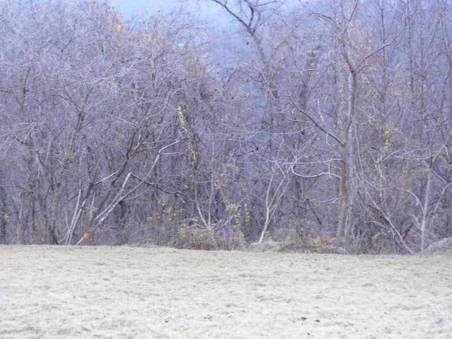 537 Stonewall Road Fairmont, WV 26554 - Photo 5 of 6 Gallery Image 5