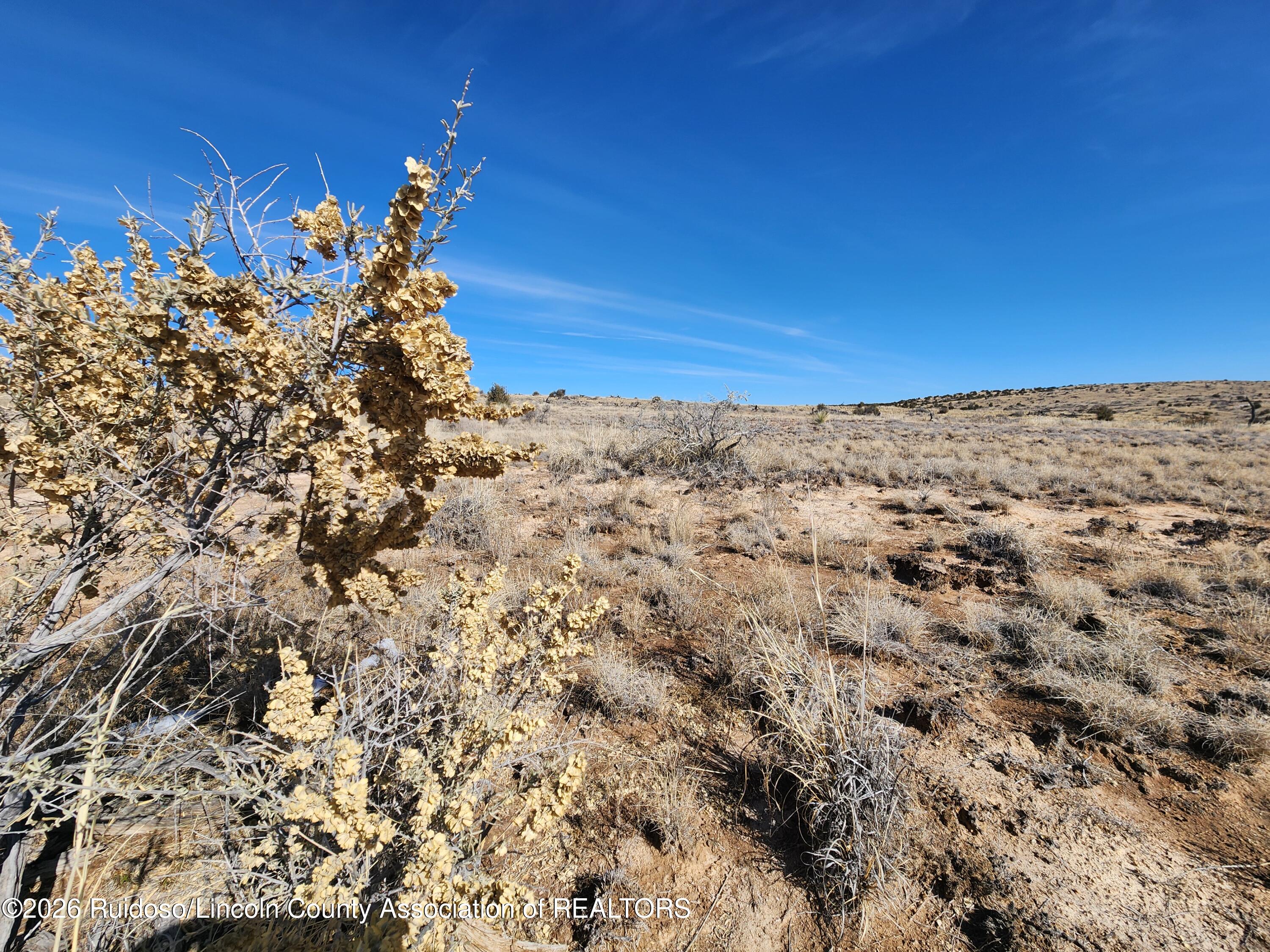 Lot 183 Windmill Road Carrizozo, NM 88301 - Photo 18 of 24 Gallery Image 18