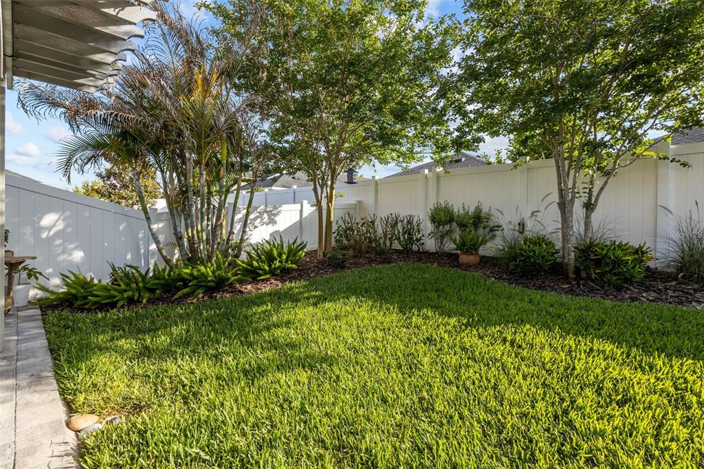 15166 Renaissance Avenue Odessa, FL 33556 - Photo 28 of 45