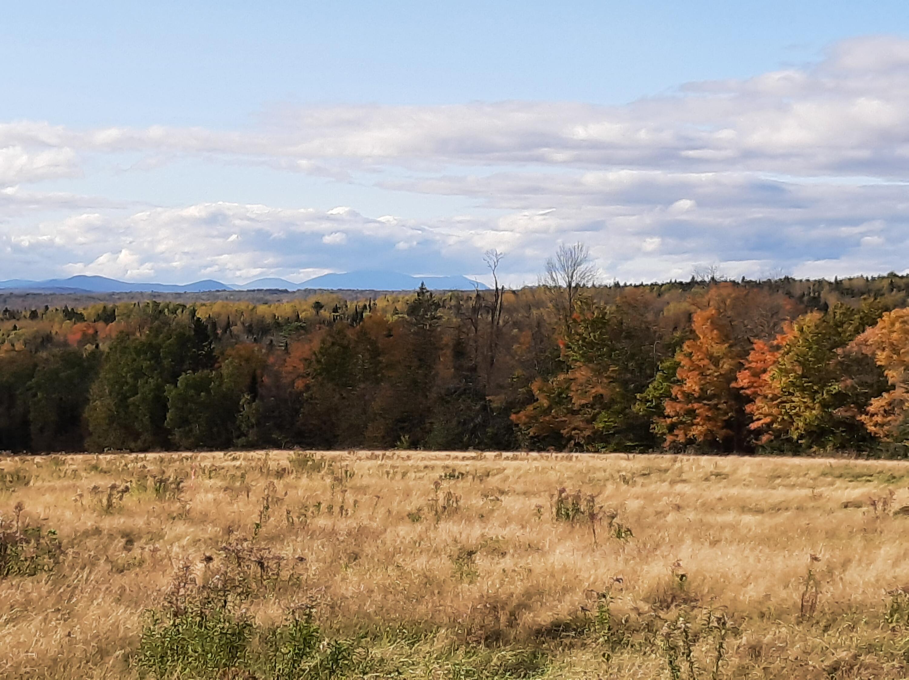 Front field in fall