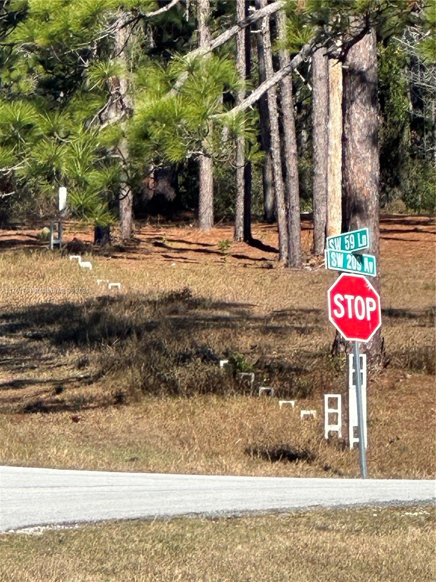 0 Southwest 209th Avenue Dunnellon, FL 34431 - Photo 3 of 12 a view of a street with houses