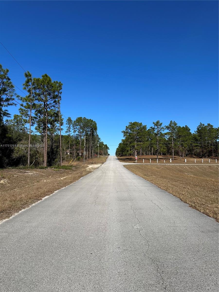 0 Southwest 209th Avenue Dunnellon, FL 34431 - Photo 4 of 12 a view of a road with a building in the background