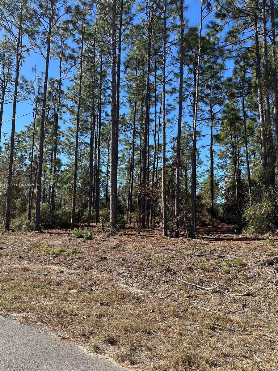 0 Southwest 209th Avenue Dunnellon, FL 34431 - Photo 6 of 12