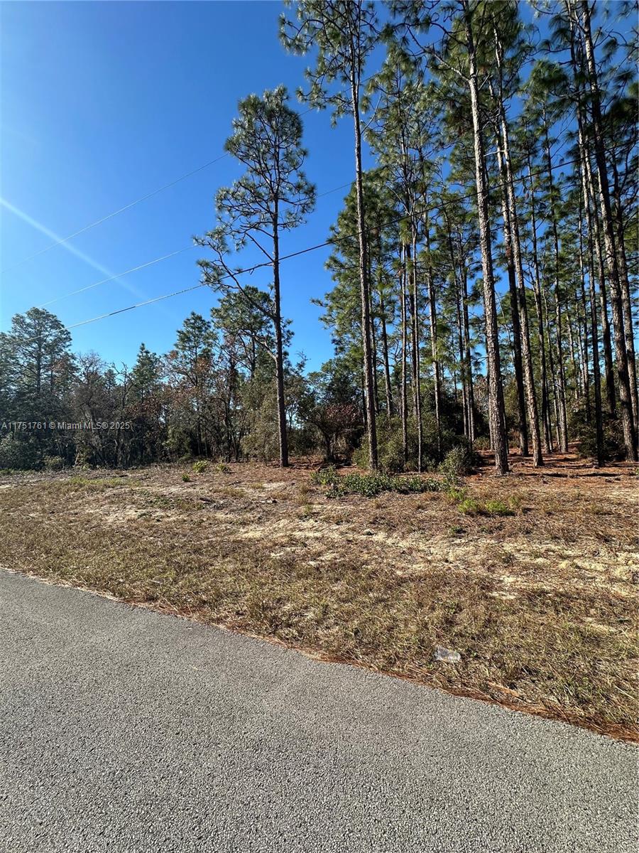 0 Southwest 209th Avenue Dunnellon, FL 34431 - Photo 9 of 12 a view of outdoor space with trees