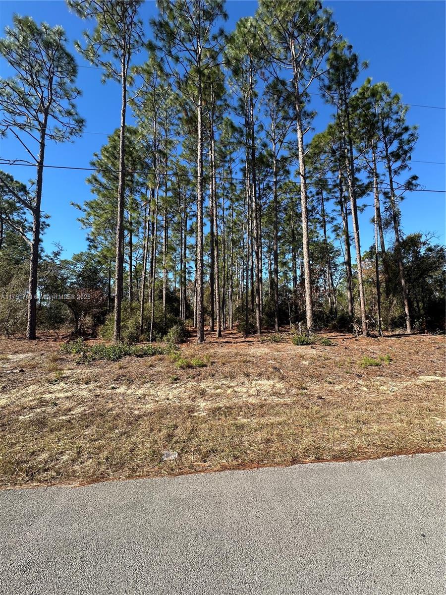 0 Southwest 209th Avenue Dunnellon, FL 34431 - Photo 10 of 12 a view of a backyard of the house