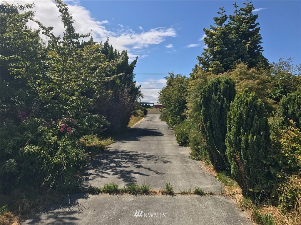 82 Gunn Road Port Angeles, WA 98362 - Photo 3 of 24