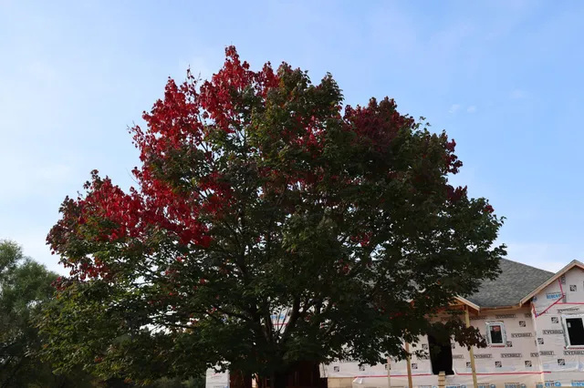 $549,900 | 33006 Hilary Circle, Cambridge, MN 55008