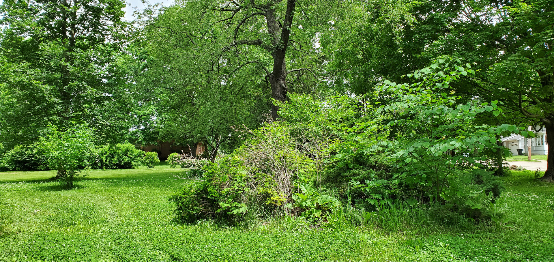 205 North Grove Street Normal, IL 61761 - Photo 11 of 13 a view of a field with a tree