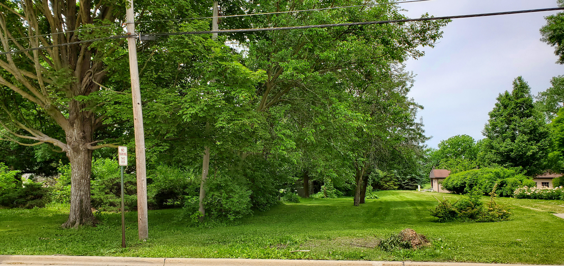 205 North Grove Street Normal, IL 61761 - Photo 3 of 13 a view of a field with a tree