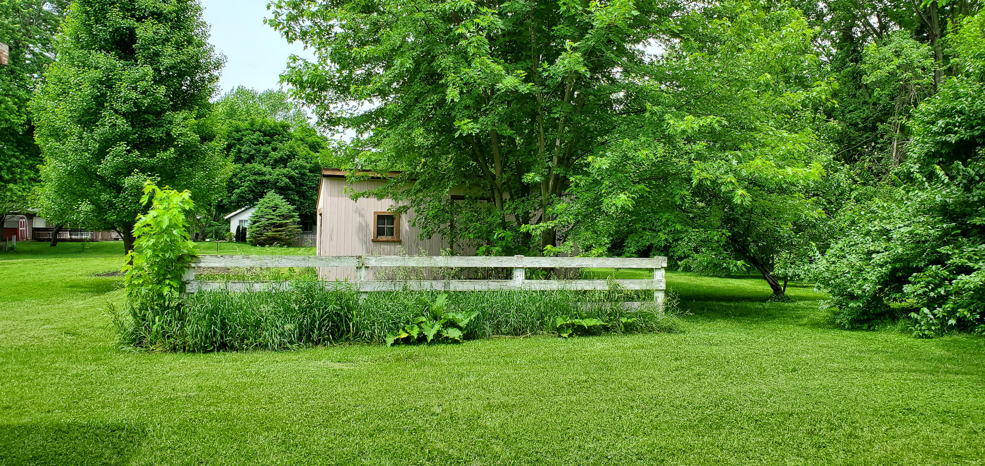 205 North Grove Street Normal, IL 61761 - Photo 4 of 13 a view of a garden with plants
