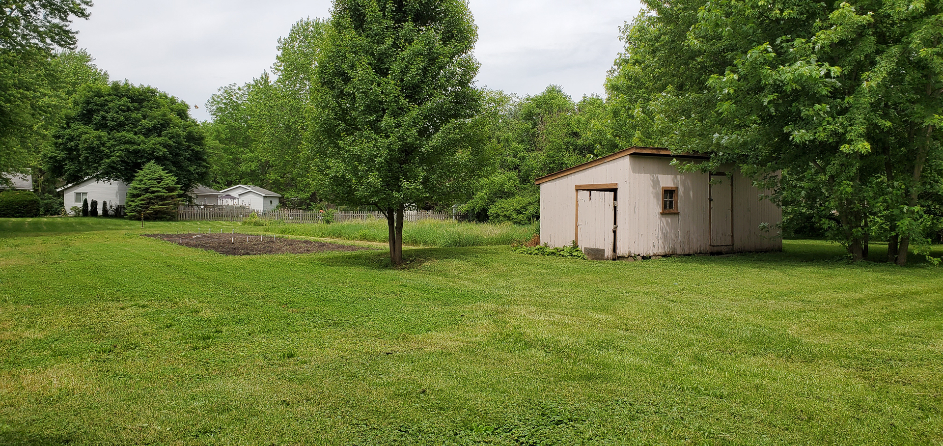 205 North Grove Street Normal, IL 61761 - Photo 6 of 13 a view of a backyard with large trees and a small barn
