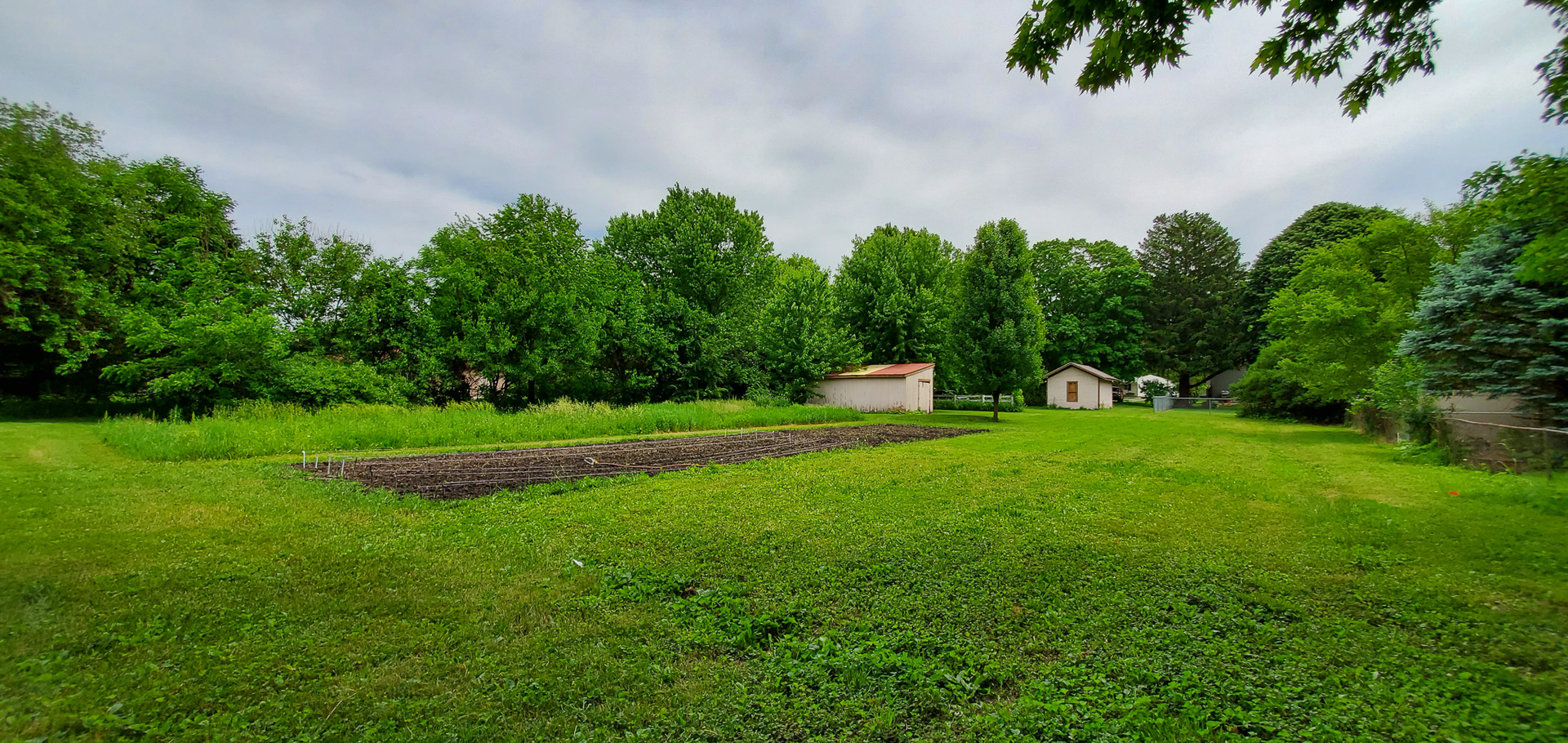 205 North Grove Street Normal, IL 61761 - Photo 8 of 13 a view of a garden with lawn chairs