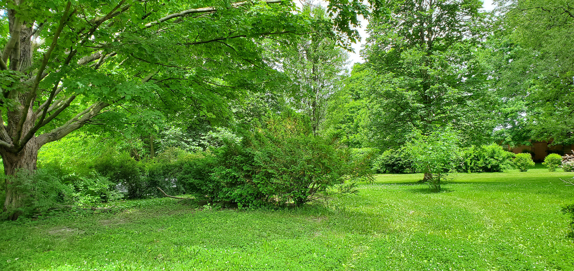 205 North Grove Street Normal, IL 61761 - Photo 10 of 13 a garden with trees in the background