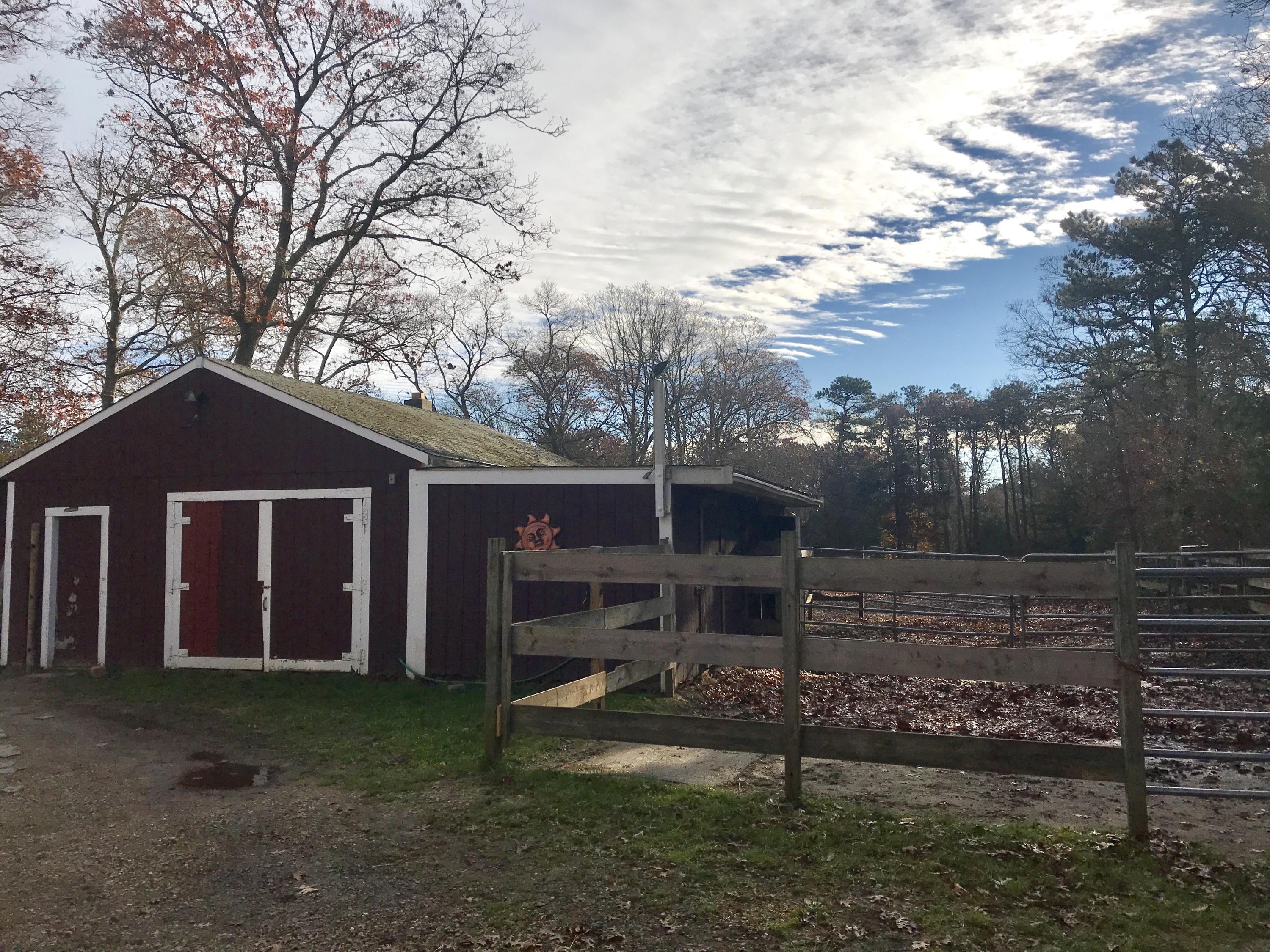28 Boardley Road Sandwich, MA 02563 - Photo 17 of 27 IMG_2821