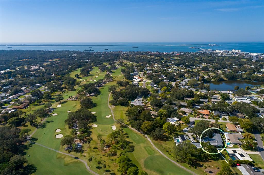 2309 Jones Court Dunedin, FL 34698 - Photo 47 of 55