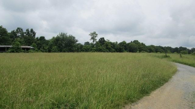 3466 Hester Ridge Road Wallingford, KY 41093 - Photo 5 of 5 Photo 5