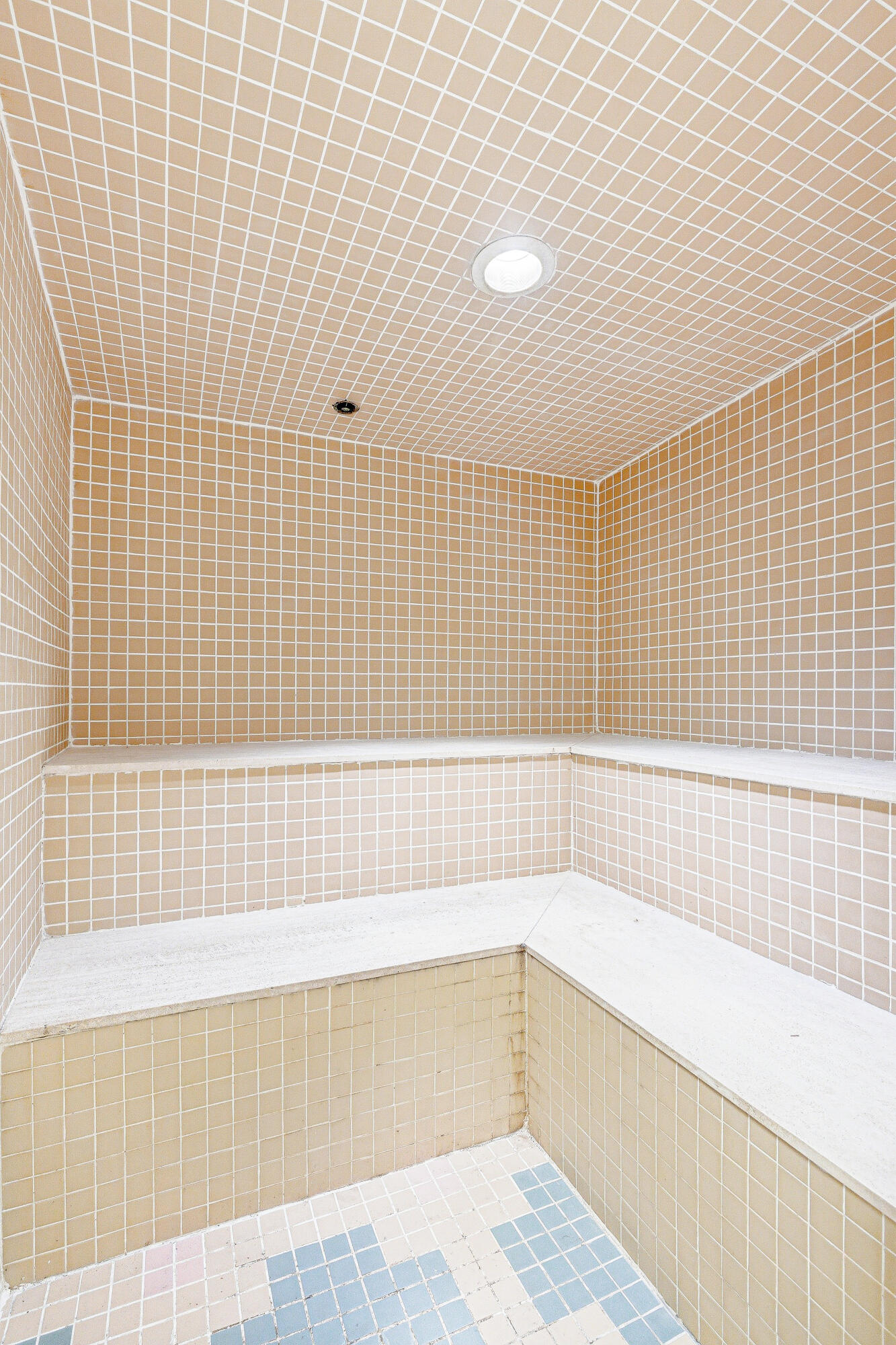 100 Southeast 5th Avenue Boca Raton, FL 33432 - Photo 44 of 51 Sauna