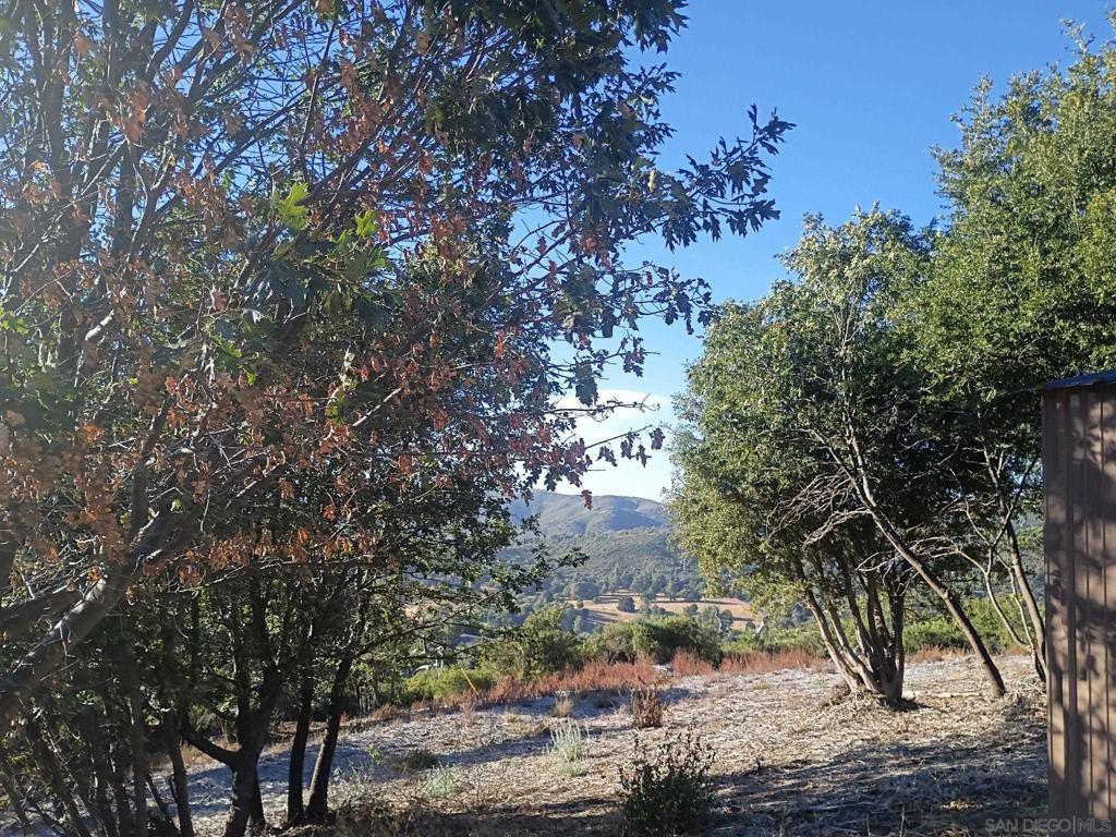 17150 Iron Springs Road Julian, CA 92036 - Photo 34 of 45