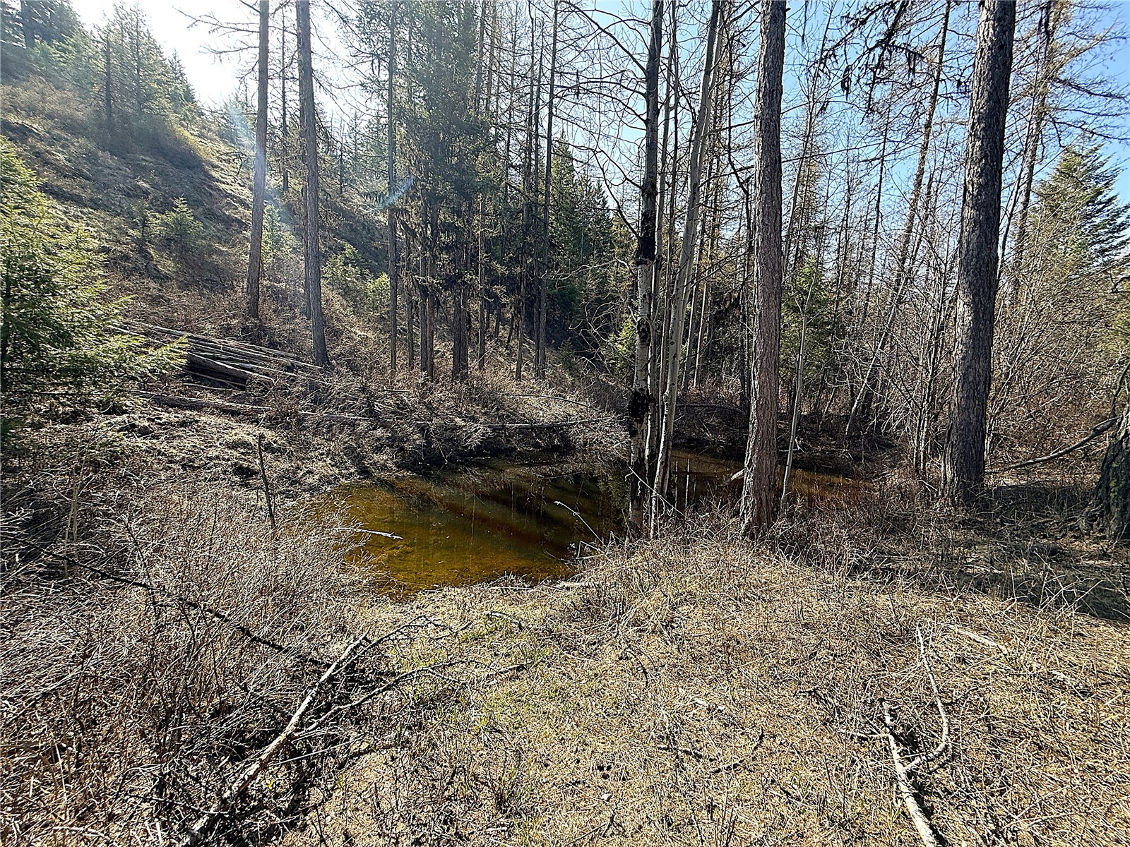 -tbd Tbd Give Out Creek Road Wauconda, WA 98859 - Photo 12 of 28 a view of lake with trees