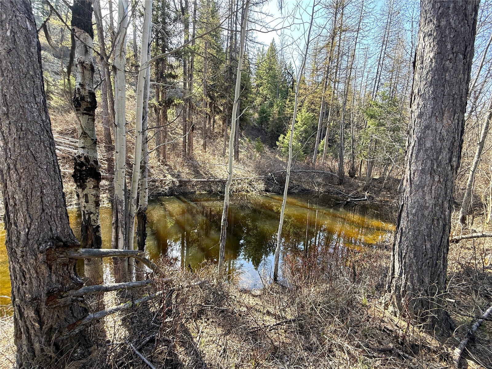 -tbd Tbd Give Out Creek Road Wauconda, WA 98859 - Photo 13 of 28 a view of a lake view