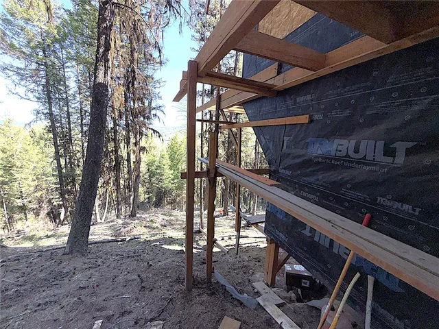 a view of a tree in a yard