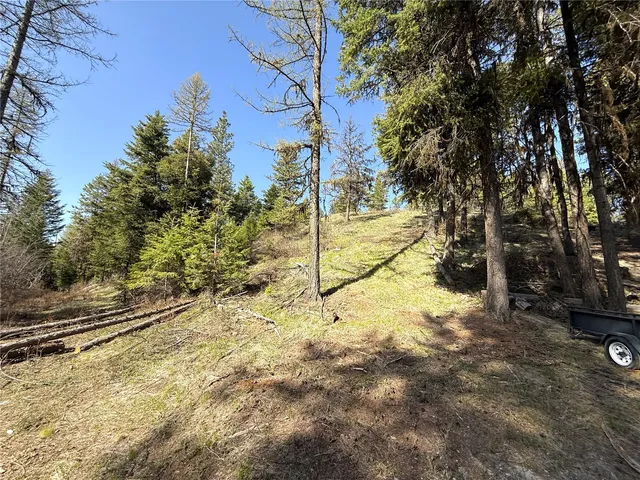 a view of a yard with basketball court