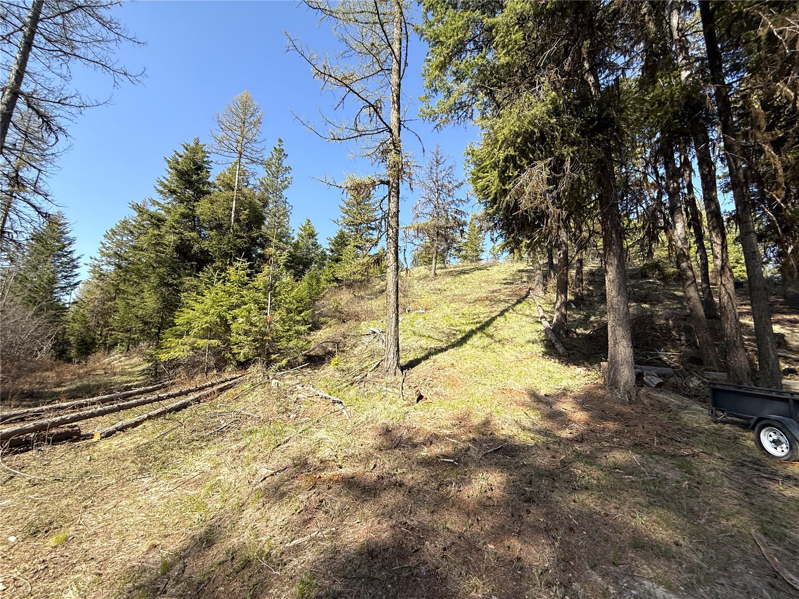 -tbd Tbd Give Out Creek Road Wauconda, WA 98859 - Photo 3 of 28 a view of a yard with basketball court