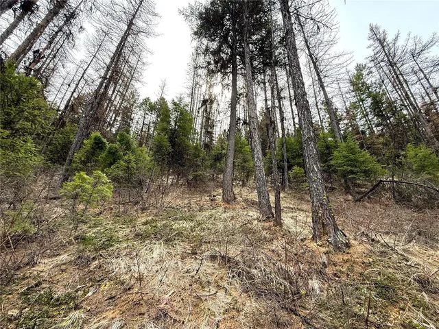 a view of outdoor space with trees all around