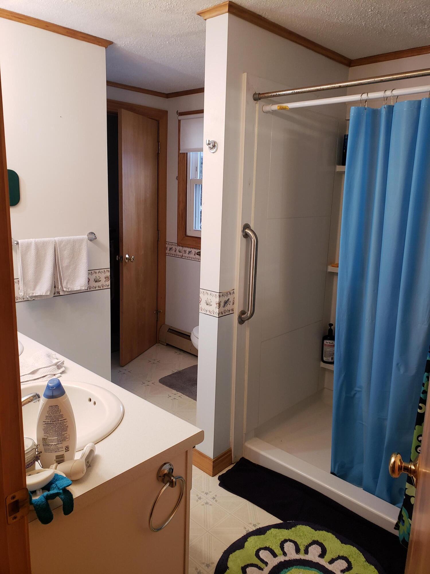 29 Duck Cove Road Orland, ME 04472 - Photo 32 of 60 Main Floor Bath-Shower