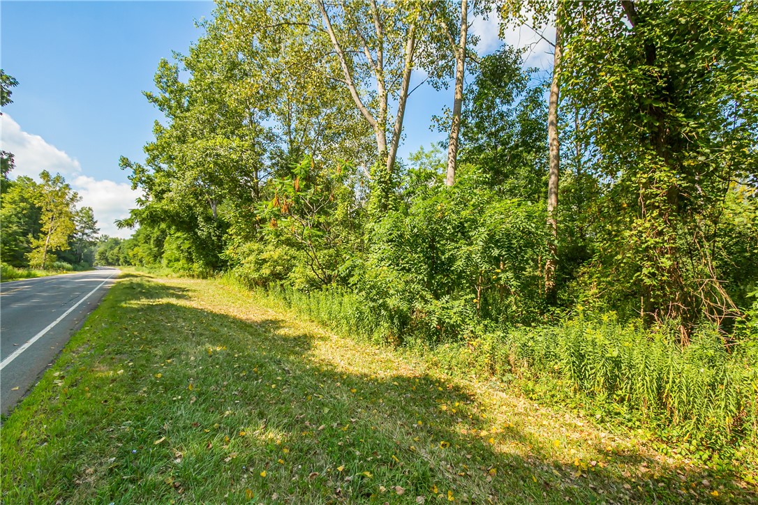 0 Blue Cut Road Arcadia, NY 14513 - Photo 1 of 1 Gallery Image 1