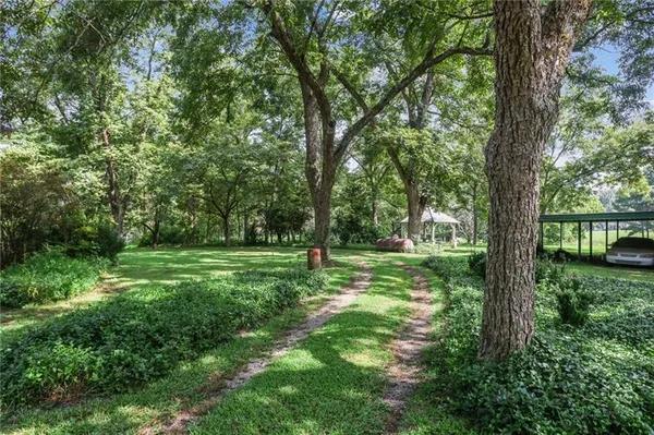 a view of a lush green space