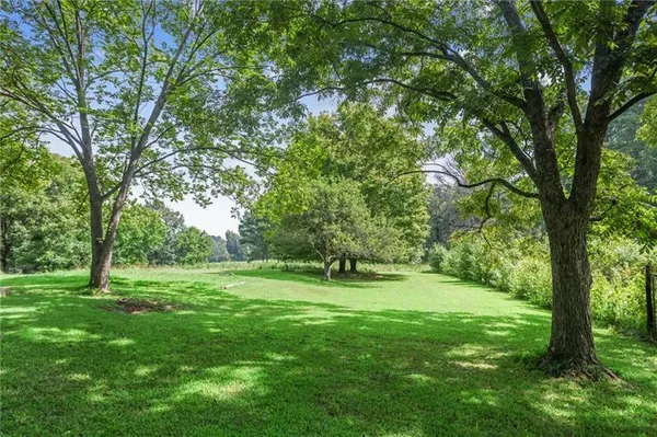 a view of a park with a tree