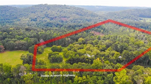 a picture of flowers