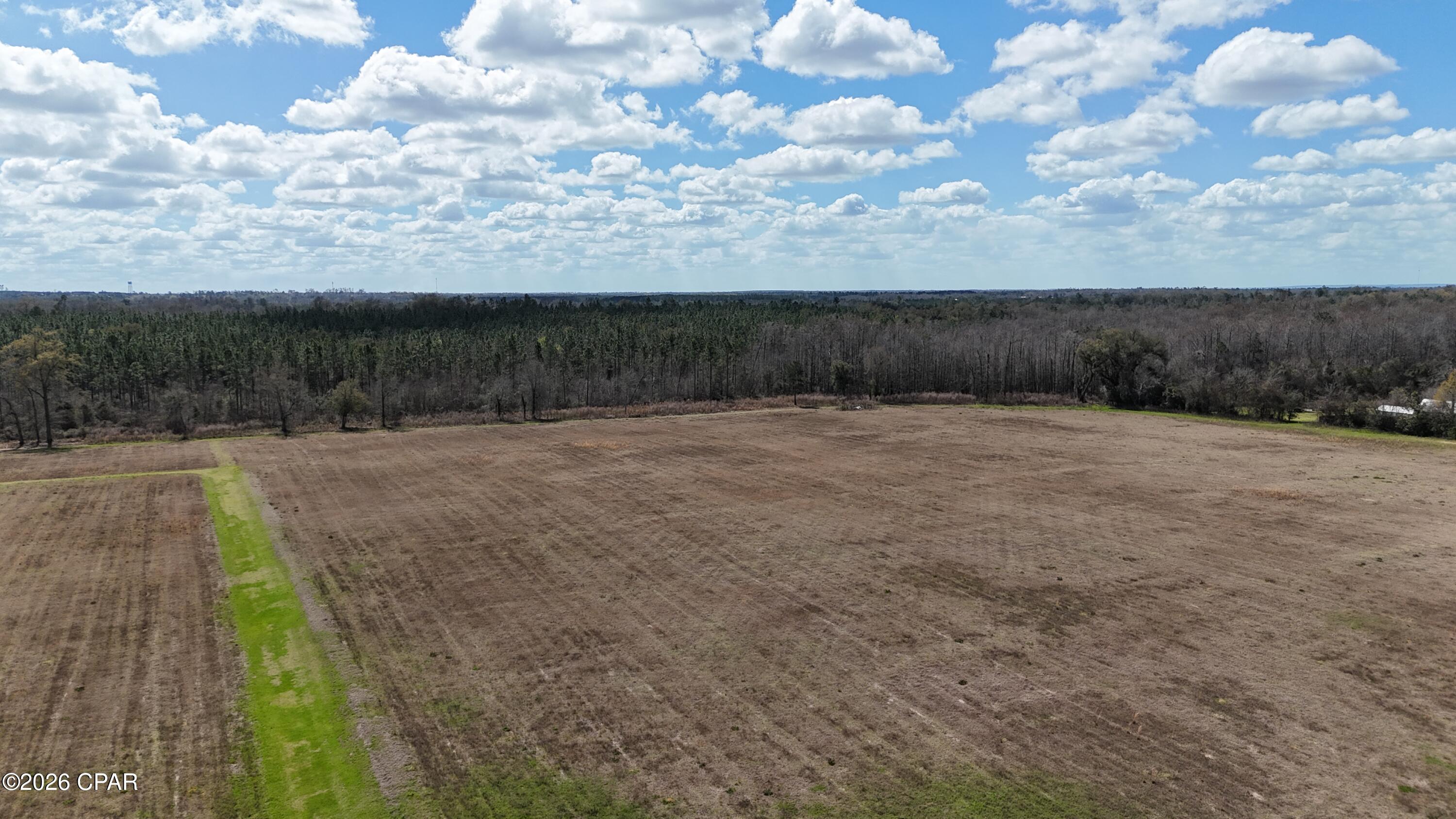 6775 Highway 90 Grand Ridge, FL 32442 - Photo 2 of 89