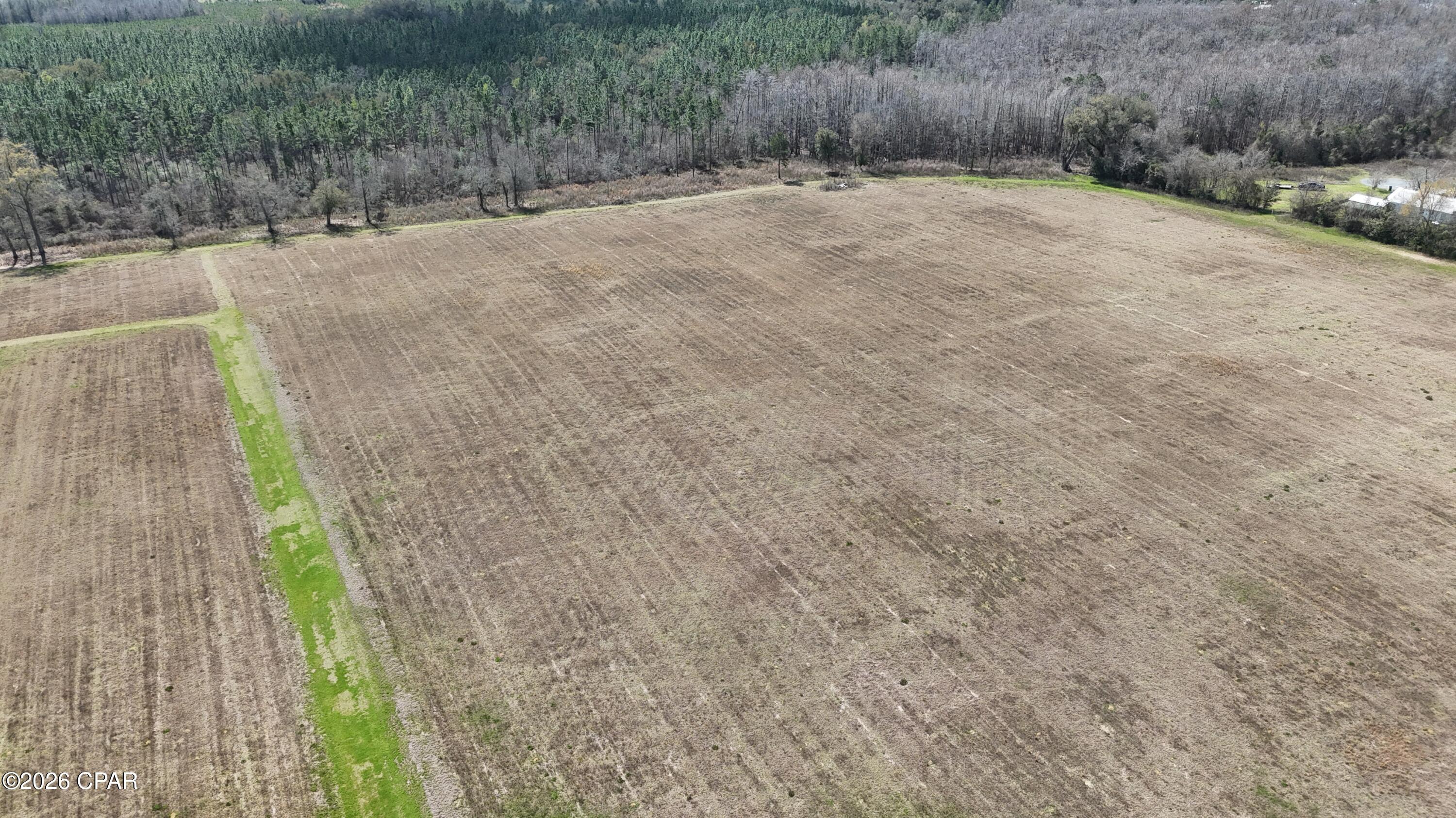 6775 Highway 90 Grand Ridge, FL 32442 - Photo 3 of 89