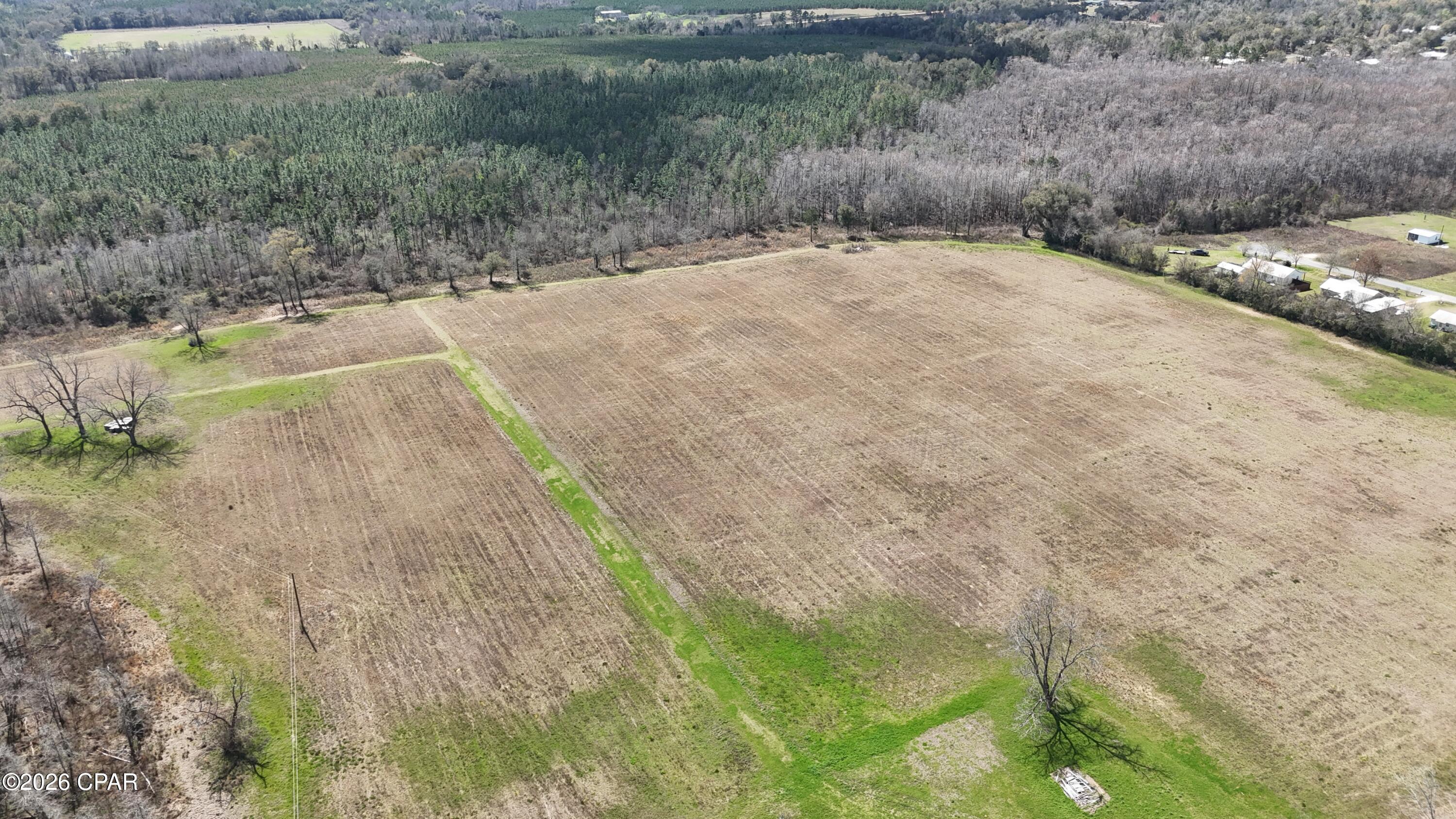 6775 Highway 90 Grand Ridge, FL 32442 - Photo 4 of 89