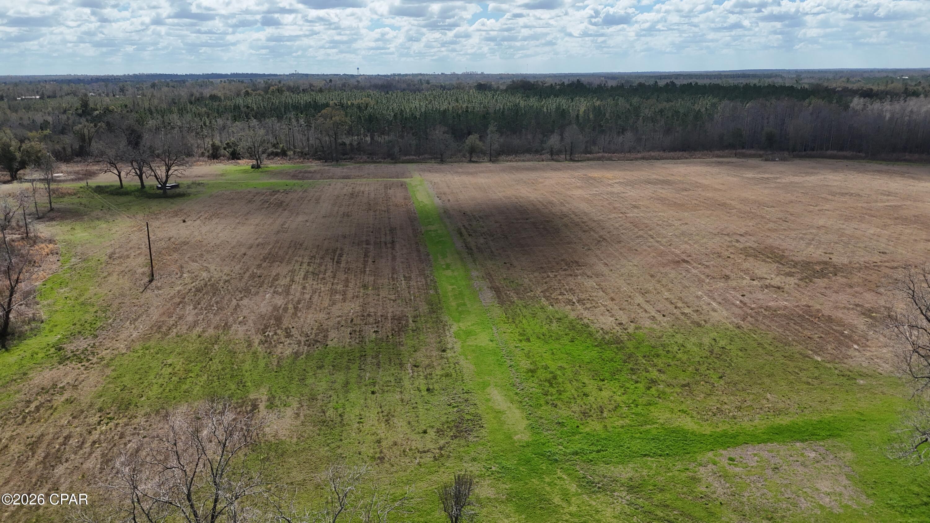 6775 Highway 90 Grand Ridge, FL 32442 - Photo 49 of 89