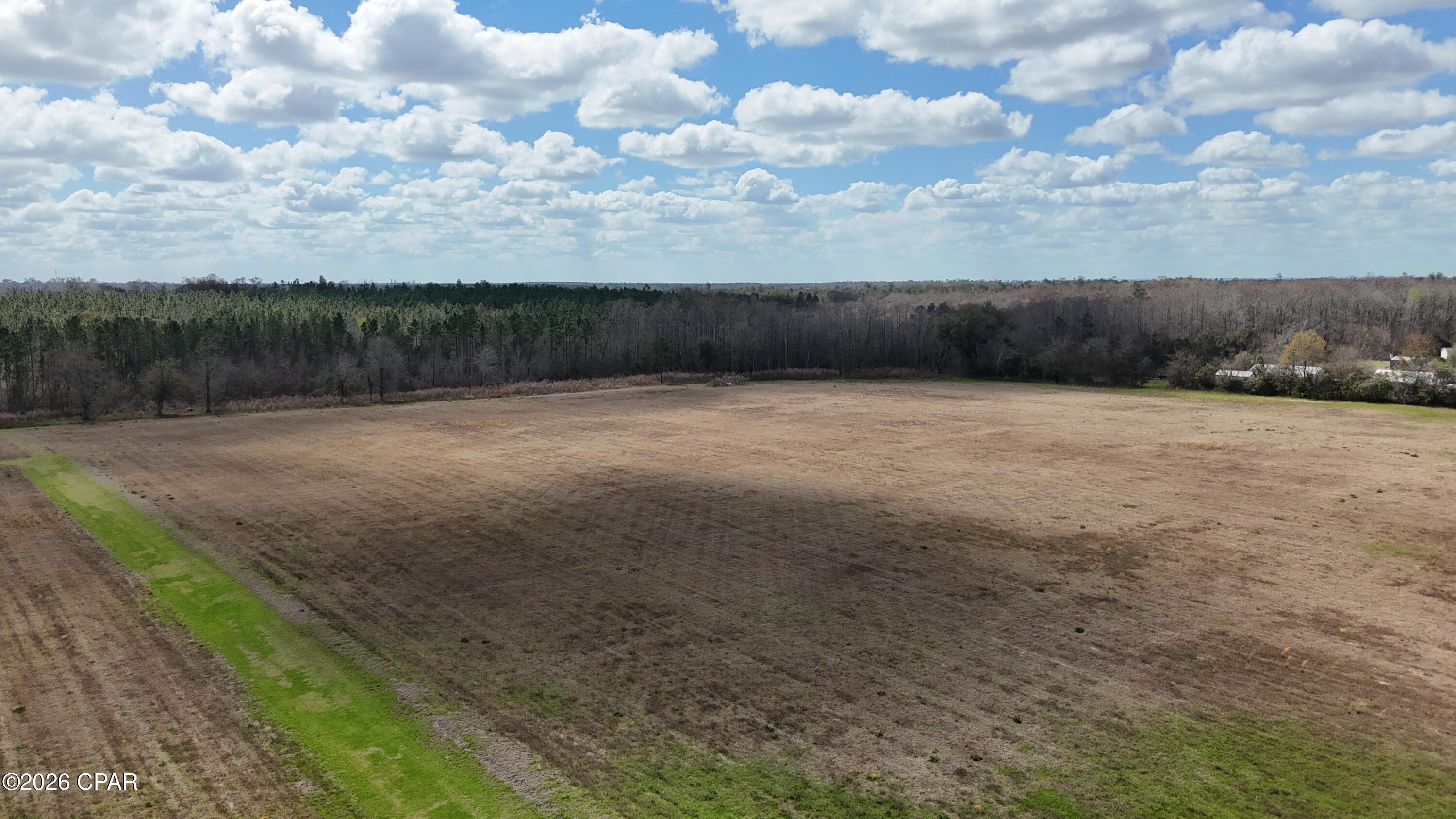 6775 Highway 90 Grand Ridge, FL 32442 - Photo 50 of 89