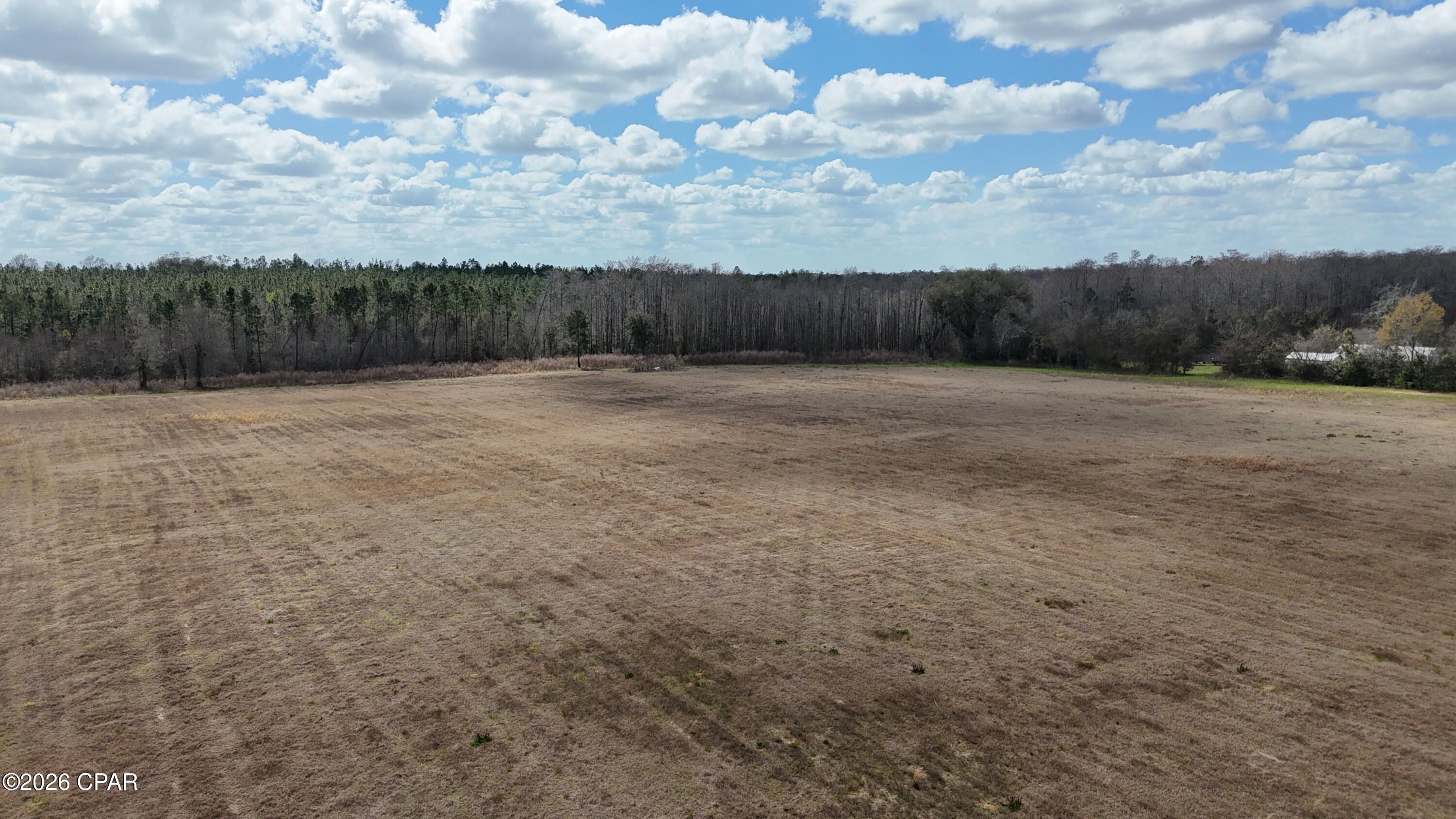 6775 Highway 90 Grand Ridge, FL 32442 - Photo 57 of 89